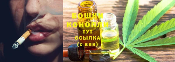 спиды Лагань