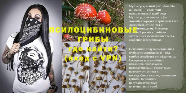 спиды Лагань