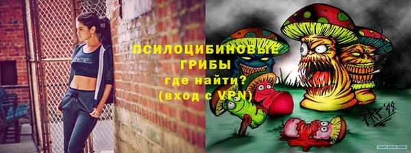 спиды Лагань