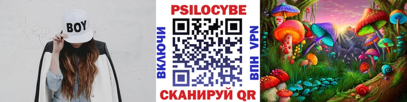Купить  Алушта  Галлюциногенные грибы Psilocybine cubensis 